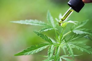 Unlocking the Potential of CBD Oil for Arthritis: Your Comprehensive Guide to Relief