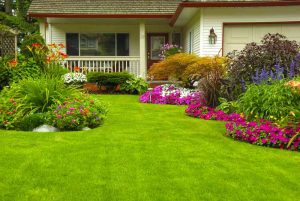 How to find the affordable landscape maintenance services near you?