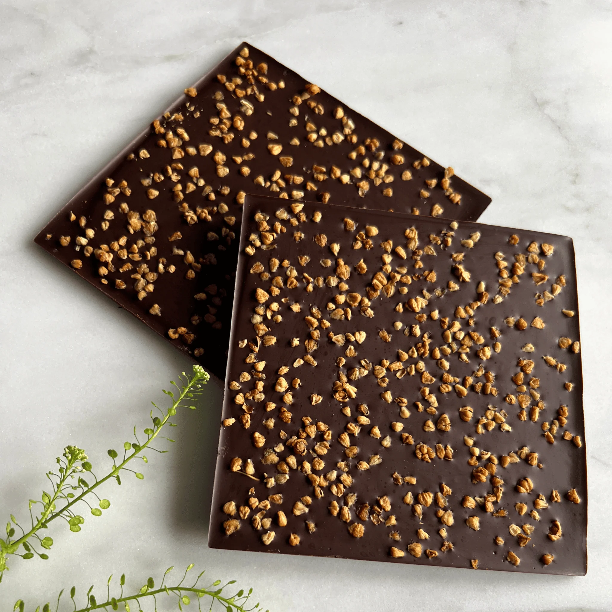 mushroom chocolate bars