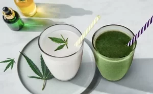 THC Drinks: A Refreshing Twist to Cannabis Consumption